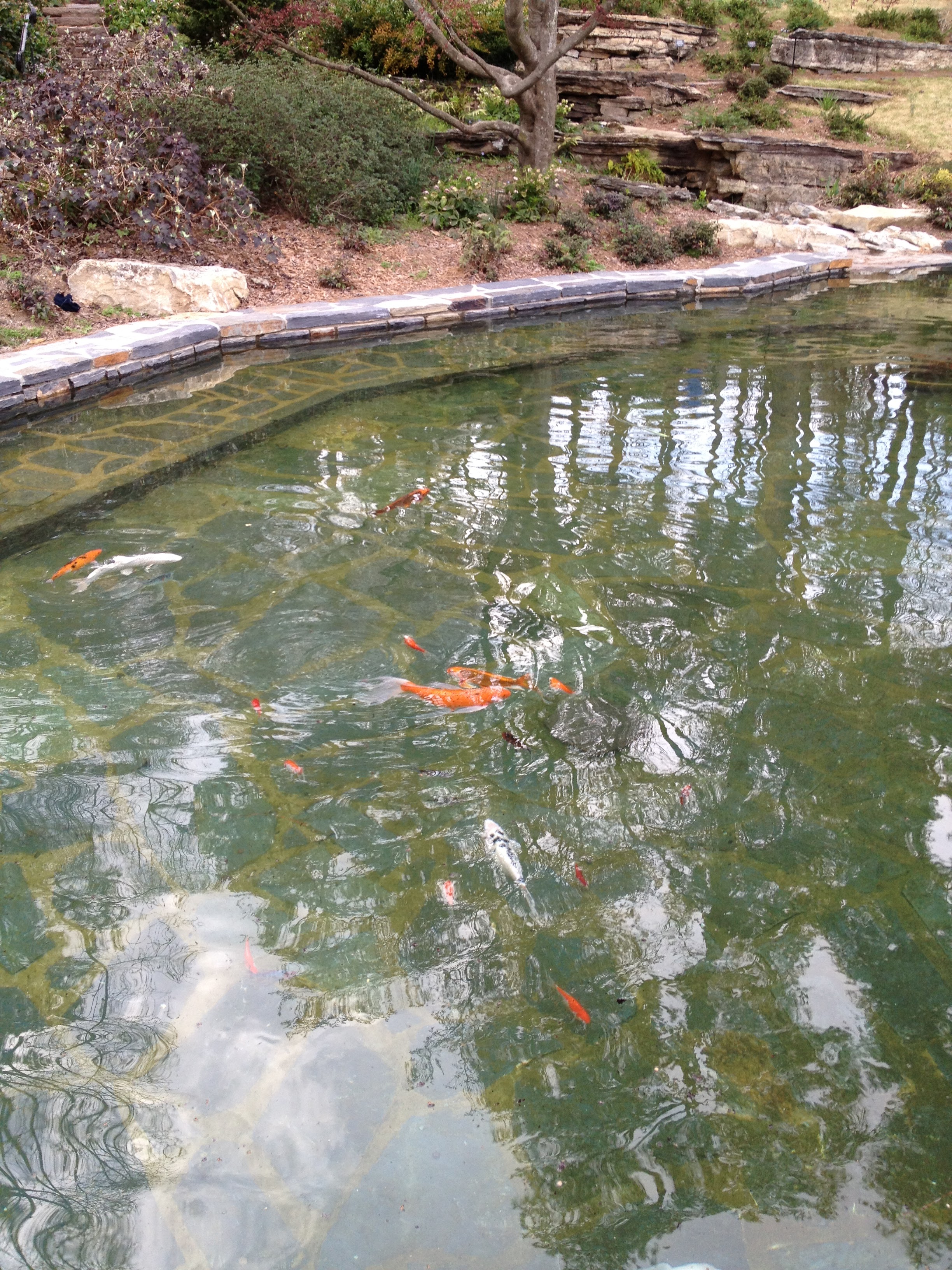 Duke Gardens — beautiful garden grounds